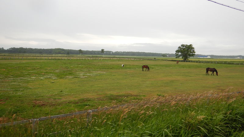 f:id:gearmasher:20190713094427j:plain