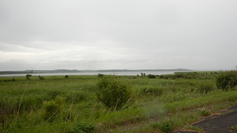 f:id:gearmasher:20190713095747j:plain