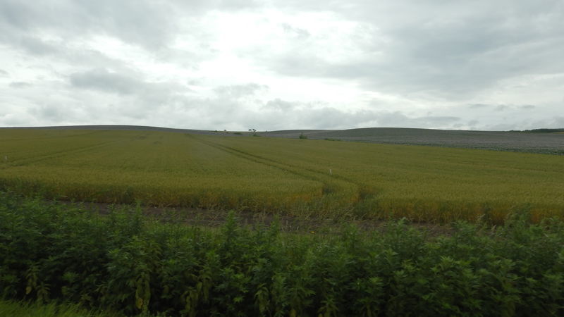 f:id:gearmasher:20190713113921j:plain f:id:gearmasher:20190713113921j:plain