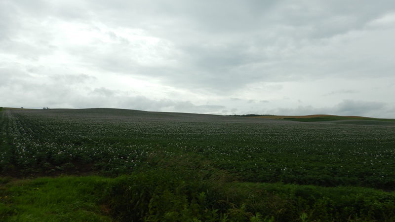 f:id:gearmasher:20190713113927j:plain f:id:gearmasher:20190713113927j:plain