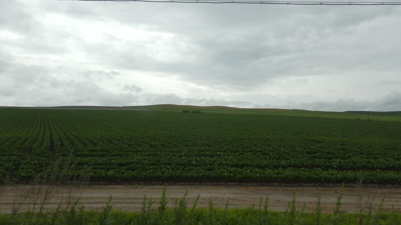 f:id:gearmasher:20190713114008j:plain