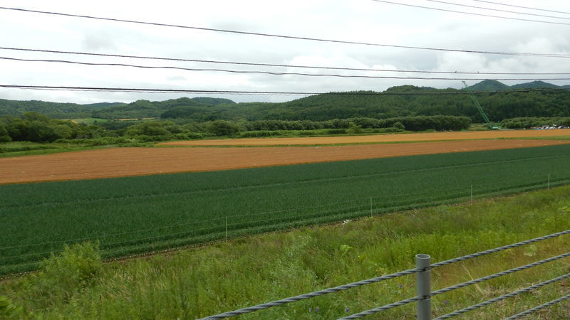 f:id:gearmasher:20190713122247j:plain