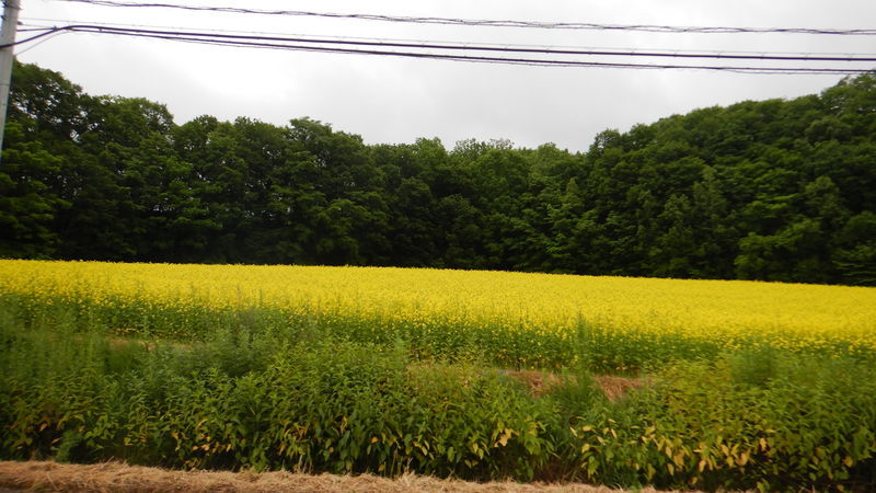 f:id:gearmasher:20190713140938j:plain f:id:gearmasher:20190713140938j:plain