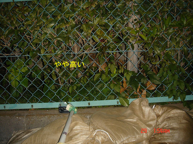 f:id:geasszero:20111029044443j:image f:id:geasszero:20111029044443j:image
