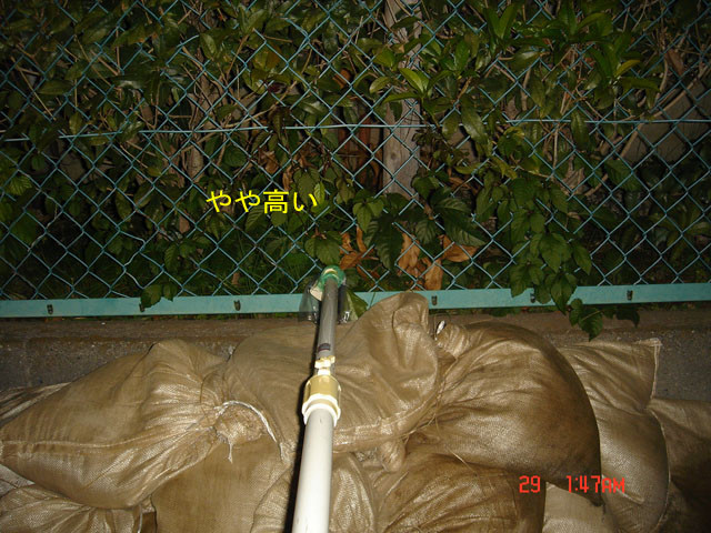 f:id:geasszero:20111029044444j:image f:id:geasszero:20111029044444j:image