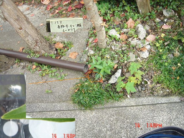 f:id:geasszero:20111114141924j:image