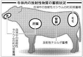f:id:geasszero:20120629133613j:image f:id:geasszero:20120629133613j:image