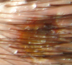 f:id:geasszero:20120925001456j:image