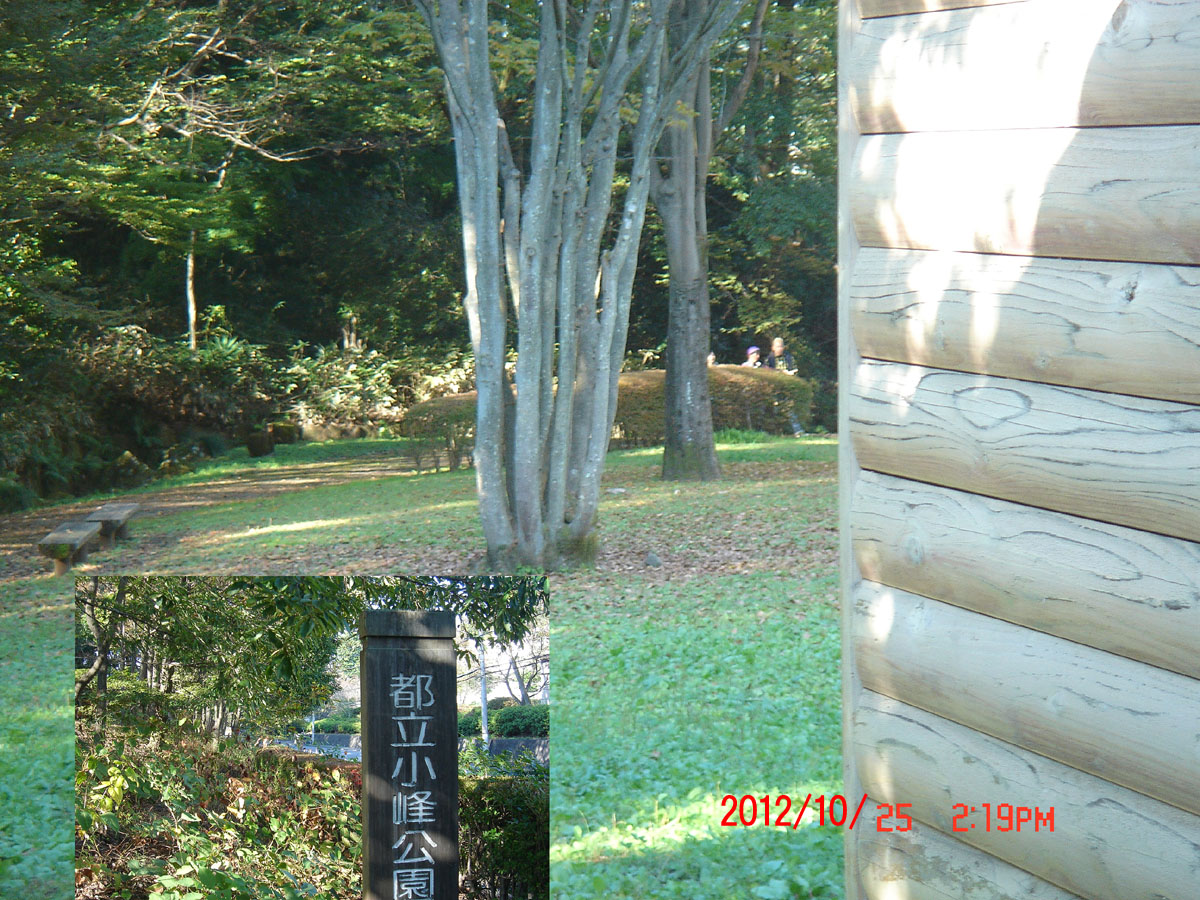 f:id:geasszero:20121026004609j:image f:id:geasszero:20121026004609j:image