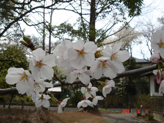 f:id:geasszero:20121031103119j:image f:id:geasszero:20121031103119j:image