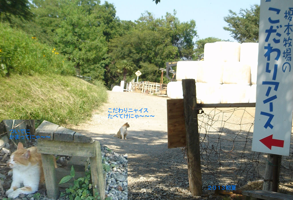 f:id:geasszero:20130624221751j:image
