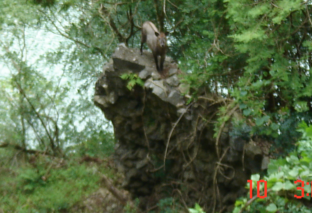 f:id:geasszero:20130910204852j:image