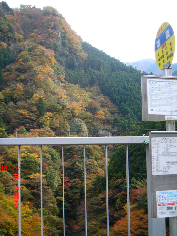 f:id:geasszero:20131114221520j:image