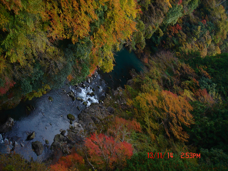 f:id:geasszero:20131114221521j:image