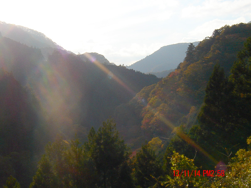 f:id:geasszero:20131114221522j:image