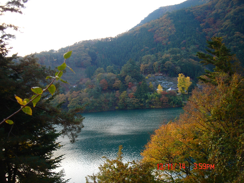 f:id:geasszero:20131114221530j:image