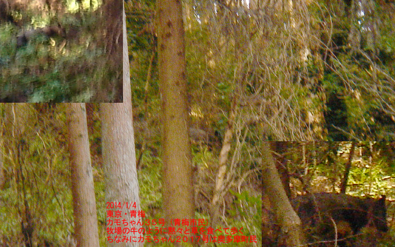 f:id:geasszero:20140104201440j:image f:id:geasszero:20140104201440j:image