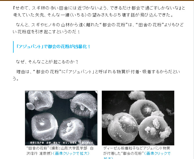 f:id:geasszero:20140326195819j:image