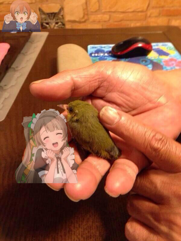 f:id:geasszero:20140419001421j:image