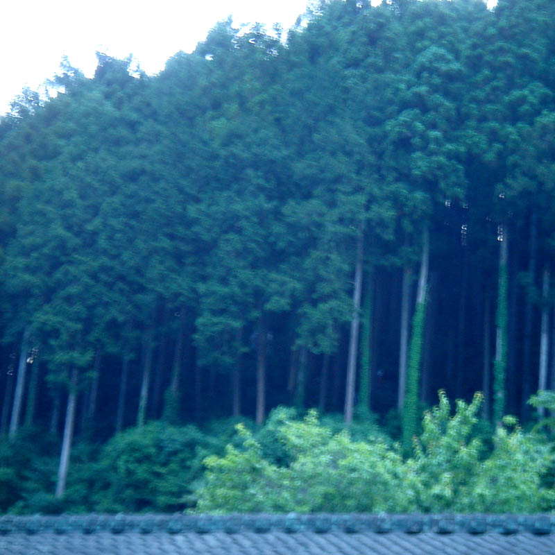f:id:geasszero:20140601192827j:image f:id:geasszero:20140601192827j:image