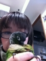 [Conure][ウロコインコ][ウロコインコ][インコ]くるみ（楽チン）