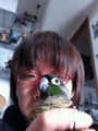 [Conure][ウロコインコ][ウロコインコ][インコ]くるみ（うっ、後ろが恐いおっ！）