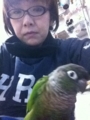 [Conure][ウロコインコ][ウロコインコ][インコ]くるみ（飽きたから下降りるのー！）