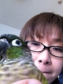 [Conure][ウロコインコ][ウロコインコ][インコ]くるみ（放してー！）