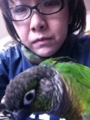 [Conure][ウロコインコ][ウロコインコ][インコ]くるみ（どっこいしょ）