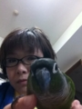 [Conure][ウロコインコ][ウロコインコ][インコ]くるみ（にゃーにっ！）