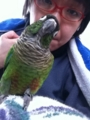 [Conure][ウロコインコ]