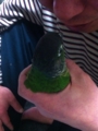 [Conure][ウロコインコ]