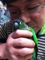 [Conure][ウロコインコ]