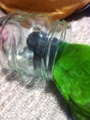 [Conure][ウロコインコ]