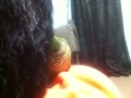 [Conure][ウロコインコ]