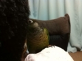 [Conure][ウロコインコ]