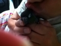 [Conure][ウロコインコ]