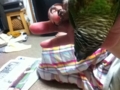 [Conure][ウロコインコ]