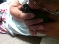 [Conure][ウロコインコ]