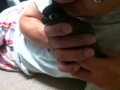 [Conure][ウロコインコ]