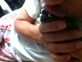 [Conure][ウロコインコ]