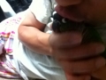 [Conure][ウロコインコ]