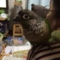 [Conure][ウロコインコ]