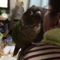 [Conure][ウロコインコ]