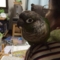 [Conure][ウロコインコ]