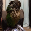 20131216153125