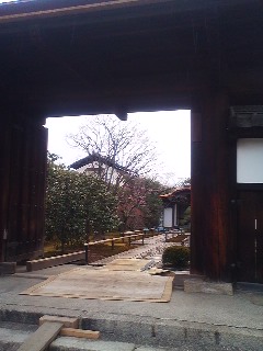 此れ何処の庭だっけ？←大徳寺の中の興臨院
