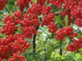 20120109205749
