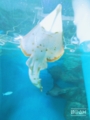 20170513221512
