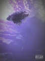 20170513231241